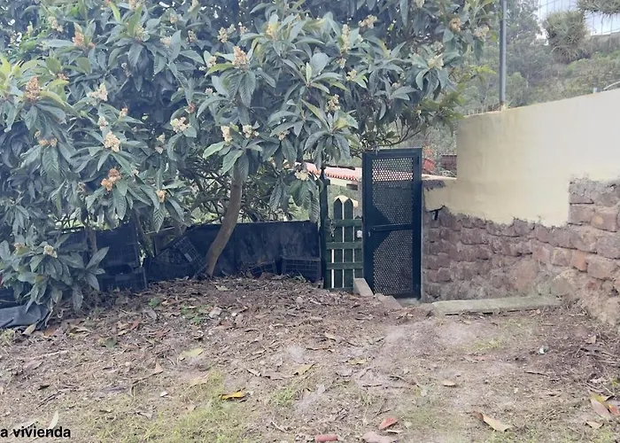 La Bodega De Julián * Tegueste