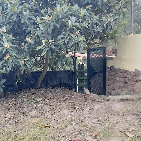 La Bodega De Julian * Tegueste